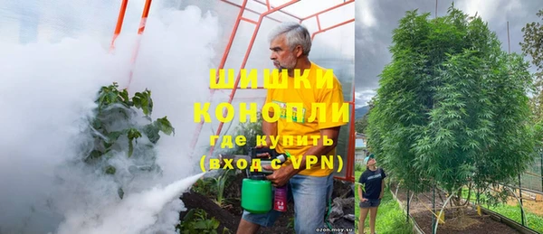 крисы Алексеевка