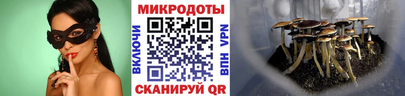 Псилоцибиновые грибы мицелий  Жирновск 